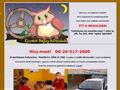 http://ejszakaibagoly.hu ismertető oldala